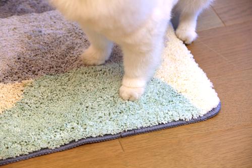 Show full view: Zarkea Ultra-Soft Microfiber Washable Area Rug, Beige, 18 x 27-in slide 3 of 9