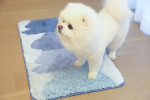 Show full view: Zarkea Ultra-Soft Microfiber Washable Area Rug, Beige, 18 x 27-in slide 2 of 9