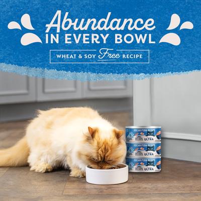 Show full view: Natural Balance Ultra Premium Ocean Fish Formula Canned Cat Food, 5.5-oz, case of 24 slide 5 of 10