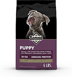 Diamond Puppy All Life Stages 31/20 for Puppies, Pregnant & Nursing Dogs Dry Food, 6-lb bag