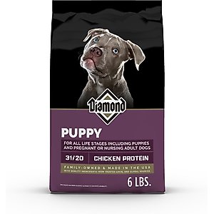 Diamond Puppy All Life Stages 31/20 for Puppies, Pregnant & Nursing Dogs Dry Food, 6-lb bag