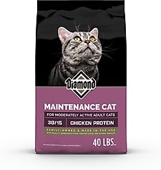 Diamond Maintenance Formula Adult Dry Cat Food, 40-lb bag