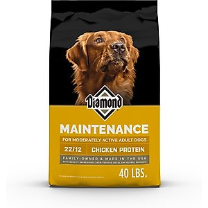 Diamond Maintenance Formula Adult Dry Dog Food, 40-lb bag
