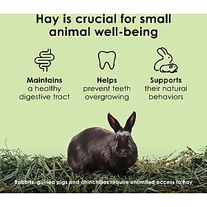 Kaytee Natural Timothy Hay Small Animal Food, 6-lb bag