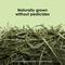 Show in main carousel: Kaytee Natural Timothy Blend Cubes Small Animal Treats, 1-lb bag slide 3 of 11