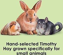 Kaytee Natural Timothy Hay Small Animal Food, 6-lb bag slide 2 of 9