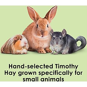 Kaytee Natural Timothy Hay Small Animal Food, 6-lb bag