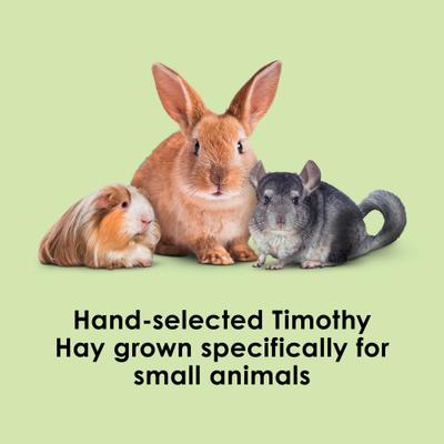 Show full view: Kaytee First Cut Timothy Hay Small Animal Food, 6.5-lb bag slide 2 of 12