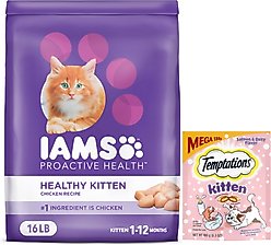Iams ProActive Health Kitten Dry Cat Food + Temptations Salmon & Dairy Flavor Treats
