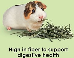 Kaytee Natural Timothy Blend Cubes Small Animal Treats, 1-lb bag slide 2 of 9