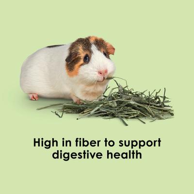 Show full view: Kaytee Natural Timothy Blend Cubes Small Animal Treats, 1-lb bag slide 4 of 11