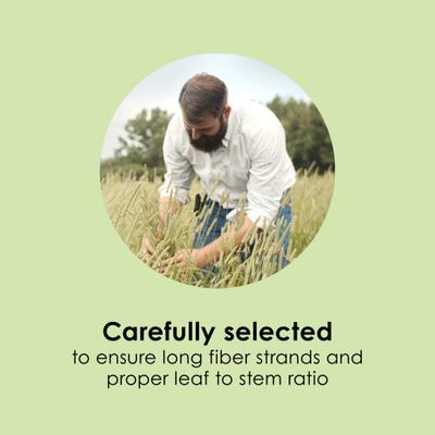 Show full view: Kaytee First Cut Timothy Hay Small Animal Food, 6.5-lb bag slide 5 of 12