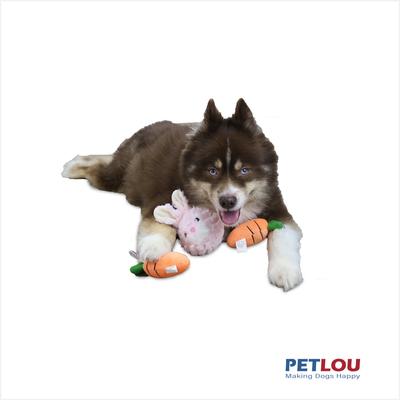 Show full view: Petlou Ez Squeaky Ball Rabbit & Carrot Triple Pack Squeaky Plush Dog Toy, 4-in slide 2 of 5
