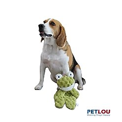 Petlou Flattiez Fuzzy Friends Frog Squeaky Plush Dog Toy, 12-in slide 2 of 5