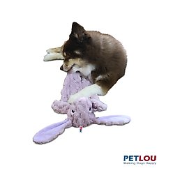 Petlou Flattiez Fuzzy Friends Rabbit Squeaky Plush Dog Toy, Lavender, 16-in slide 2 of 5