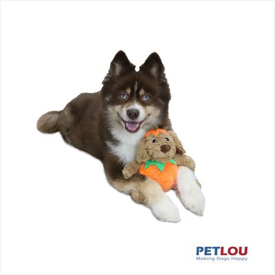 Show full view: Petlou Classic Pumpkin Dog Squeaky Plush Dog Toy, 8-in slide 2 of 6