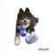 Show in main carousel: Petlou Ez Squeaky Ball Rabbits Twin Pack Squeaky Plush Dog Toy, 4-in slide 3 of 7