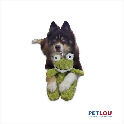 Show full view: Petlou Flattiez Fuzzy Friends Frog Squeaky Plush Dog Toy, 16-in slide 3 of 6