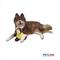 Show in main carousel: Petlou Classic Banana Monkey Squeaky Plush Dog Toy, 8-in slide 3 of 6