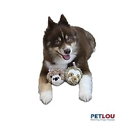 Petlou Ez Squeaky Ball Hedgehog & Sloth Twin Pack Squeaky Plush Dog Toy, 4-in slide 2 of 5