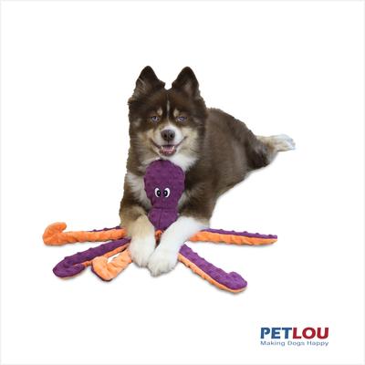 Show full view: Petlou Dotty Friends 2.0-Twin Pack Octopi Squeaky Plush Dog Toy, Blue & Purple, 16-in slide 3 of 6
