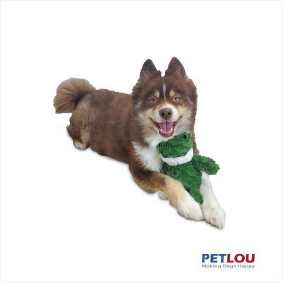 Show full view: Petlou Classic Frog Squeaky Plush Dog Toy, 9-in slide 2 of 6