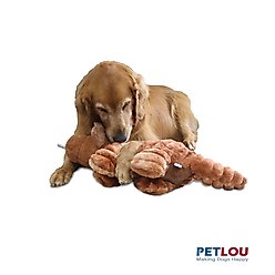 Petlou Ripples Dino Friends Triceratops Squeaky Plush Dog Toy, 26-in slide 2 of 5