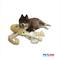 Show in main carousel: Petlou Ripples King Octopus Squeaky Plush Dog Toy, Yellow, 26-in slide 3 of 6