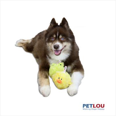 Show full view: Petlou Ez Squeaky Ball Chick & Frog Twin Pack Squeaky Plush Dog Toy, 4-in slide 2 of 5