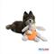 Show in main carousel: Petlou Classic Carrot Rabbit Squeaky Plush Dog Toy, 12-in slide 2 of 6