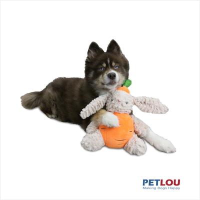 Show full view: Petlou Classic Carrot Rabbit Squeaky Plush Dog Toy, 12-in slide 2 of 6