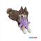 Show in main carousel: Petlou Classic Hippo Squeaky Plush Dog Toy, 9-in slide 3 of 6