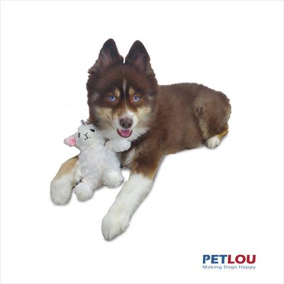Show full view: Petlou Classic Lamb Squeaky Plush Dog Toy, 9-in slide 2 of 6
