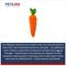 Show in main carousel: Petlou Food Luxe Carrot Squeaky Plush Dog Toy, 12-in slide 5 of 7