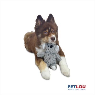 Show full view: Petlou Classic Koala Squeaky Plush Dog Toy, 9-in slide 2 of 5