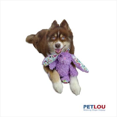 Show full view: Petlou Classic Bunny Squeaky Plush Dog Toy, 9-in slide 2 of 5