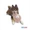 Show in main carousel: Petlou Classic Lamb Ball Squeaky Plush Dog Toy, 8-in slide 2 of 5