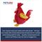Show in main carousel: Petlou Classic Rooster Squeaky Plush Dog Toy, 13-in slide 5 of 6