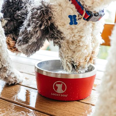 Show full view: Lucky Dog INDULGE Non-skid Stainless Steel Dog & Cat Bowl, Red, 12.5-cup slide 8 of 11