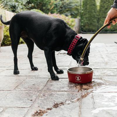 Show full view: Lucky Dog INDULGE Non-skid Stainless Steel Dog & Cat Bowl, Red, 12.5-cup slide 4 of 11