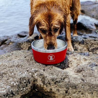 Show full view: Lucky Dog INDULGE Non-skid Stainless Steel Dog & Cat Bowl, Red, 8-cup slide 5 of 11