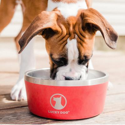 Show full view: Lucky Dog INDULGE Non-skid Stainless Steel Dog & Cat Bowl, Red, 8-cup slide 7 of 11