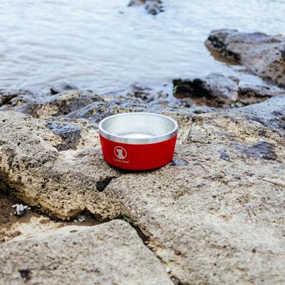 Show full view: Lucky Dog INDULGE Non-skid Stainless Steel Dog & Cat Bowl, Red, 5-cup slide 8 of 11