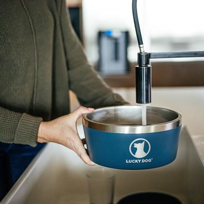 Show full view: Lucky Dog INDULGE Non-skid Stainless Steel Dog & Cat Bowl, Blue, 12.5-cup slide 10 of 12