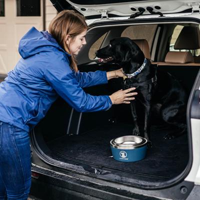 Show full view: Lucky Dog INDULGE Non-skid Stainless Steel Dog & Cat Bowl, Blue, 12.5-cup slide 9 of 12