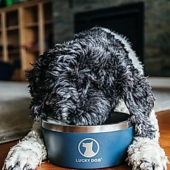 Lucky Dog INDULGE Non-skid Stainless Steel Dog & Cat Bowl, Blue, 12.5-cup slide 2 of 9