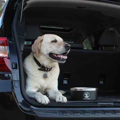 Show full view: Lucky Dog INDULGE Non-skid Stainless Steel Dog & Cat Bowl, Black, 5-cup slide 9 of 12