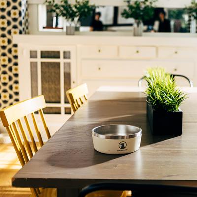 Show full view: Lucky Dog INDULGE Non-skid Stainless Steel Dog & Cat Bowl, Beige, 5-cup slide 9 of 11