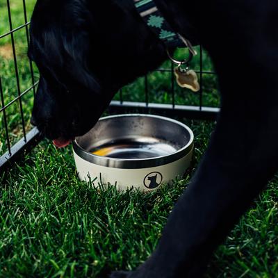 Show full view: Lucky Dog INDULGE Non-skid Stainless Steel Dog & Cat Bowl, Beige, 5-cup slide 7 of 11