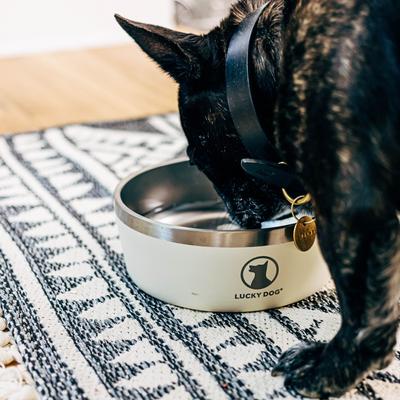 Show full view: Lucky Dog INDULGE Non-skid Stainless Steel Dog & Cat Bowl, Beige, 5-cup slide 4 of 11